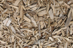 biomass boilers Talysarn